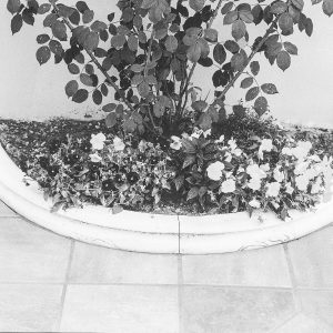 garden ornaments