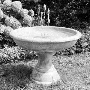 Fountain, fontane, brunnen